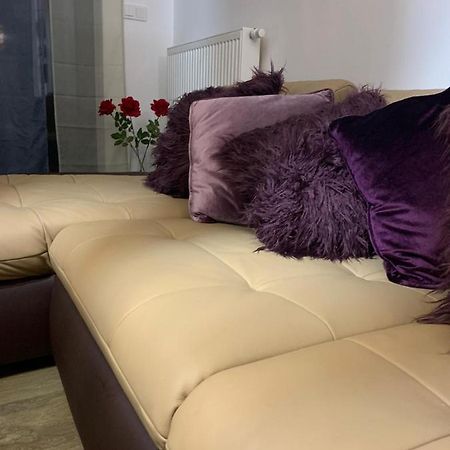 Apartamento Ive's Golden Gardenia Seaside Dziwnów Exterior foto